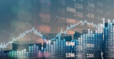 AI Meets Finance
