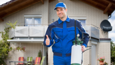 Why Calgary Residents Are Switching to Recurring House Cleaning and Pest Control Services