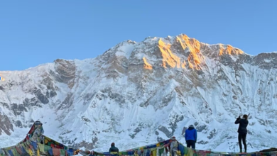 Nepal’s Special Wonders: Short Annapurna Base Camp & Langtang Valley Treks for Every Trekker