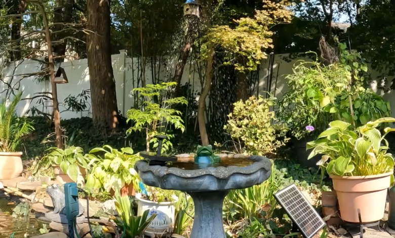 Solar Powered Bird Bath Fountains: A Sustainable Solution for Your Garden