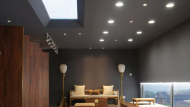 Rooflight for Sale: Transforming Homes with Natural Light