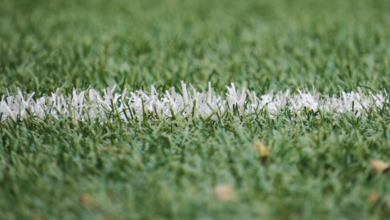 Artificial Grass Installer San Diego: Transforming Lawns into Maintenance Spaces