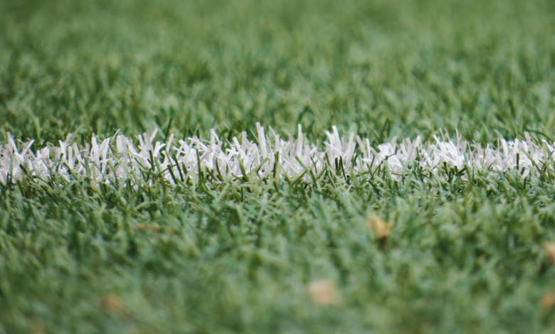 Artificial Grass Installer San Diego: Transforming Lawns into Maintenance Spaces