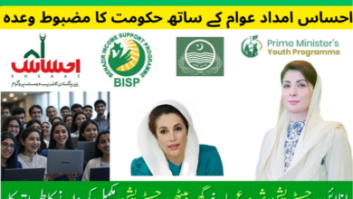 Government Latest Schemes 2025 BISP, Ehsaas Program,and CM Punjab ya alt text main dal laina