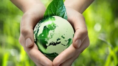 Renewable sourcing is essential for a sustainable future, but it must be pursued responsibly. While renewables drastically cut