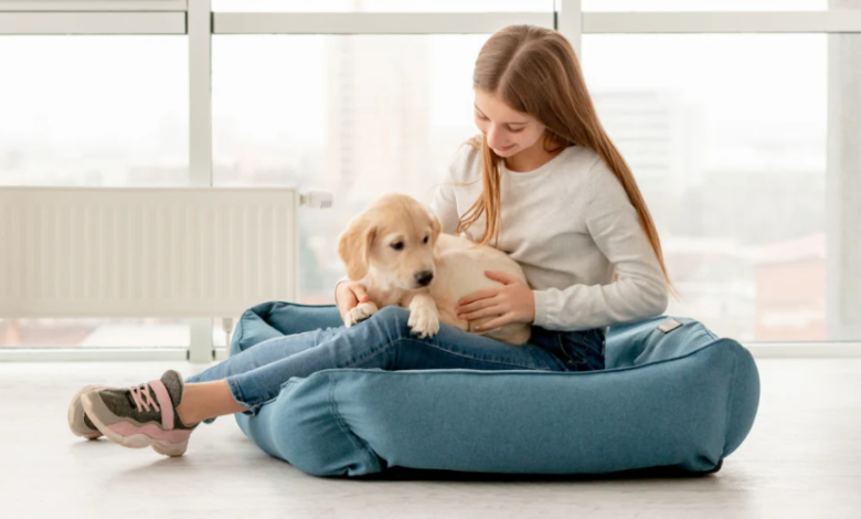 Creating a Pet-Friendly Home Without Compromising Style