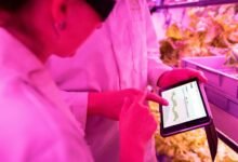 enhance growth with digital tools