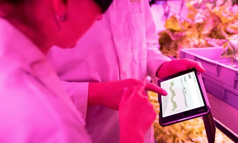 maximize growth with tools