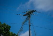 innovative digital growth solutions