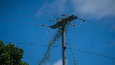 innovative digital growth solutions