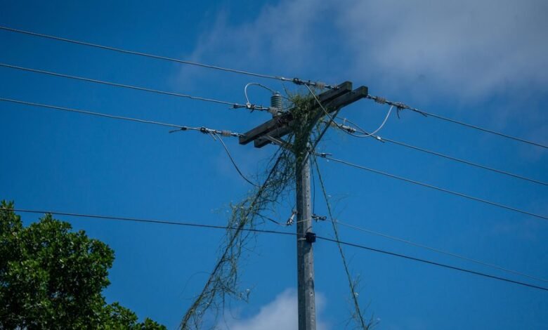 innovative digital growth solutions