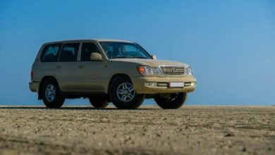 reliable online stability platform